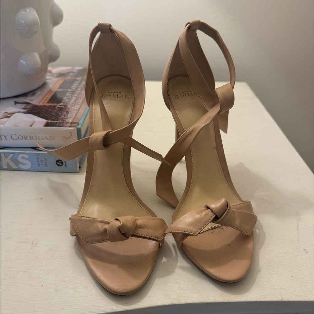 Alexandre Birman clarita heels